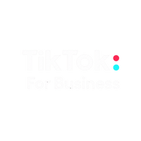 TikTok ADS Manager